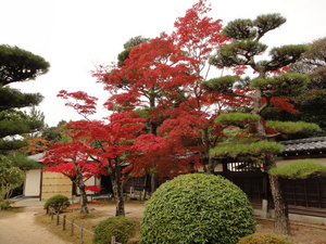 防府、毛利庭園