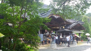 紫陽花 防府の阿弥陀寺