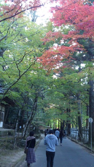 佛通寺