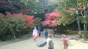 長府の紅葉