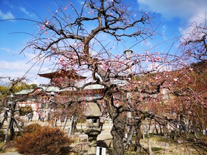 防府天満宮