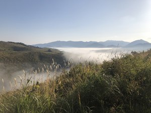 雲海